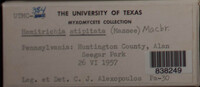 Image Associated With the Occurence